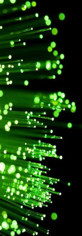 Fibres